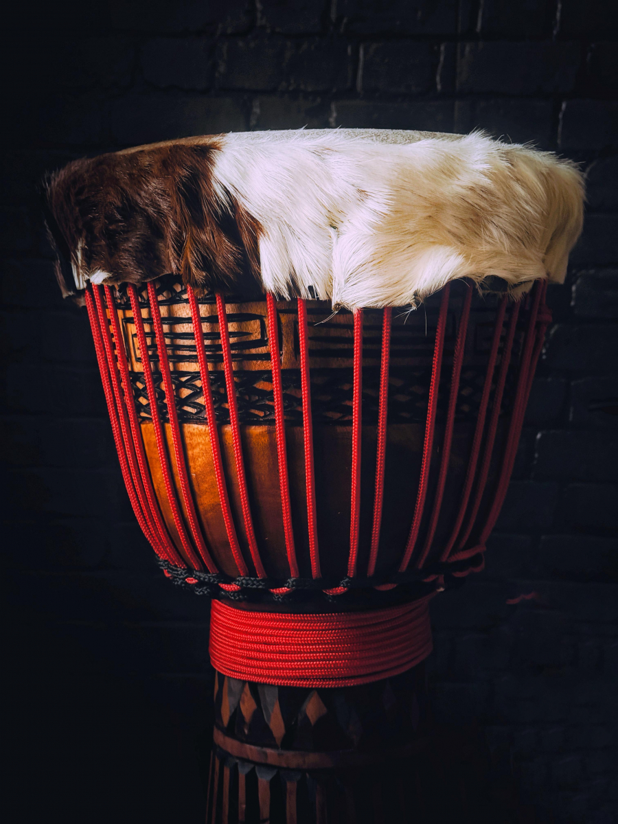 Petrovič Drums - Djembe Mahagony Professional XL
