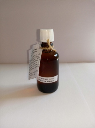 Prvosienka jarná tinktúra z pupeňov